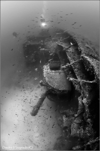 HMS Southwold
Malta. 70 meters deep. by Dmitry Vinogradov 